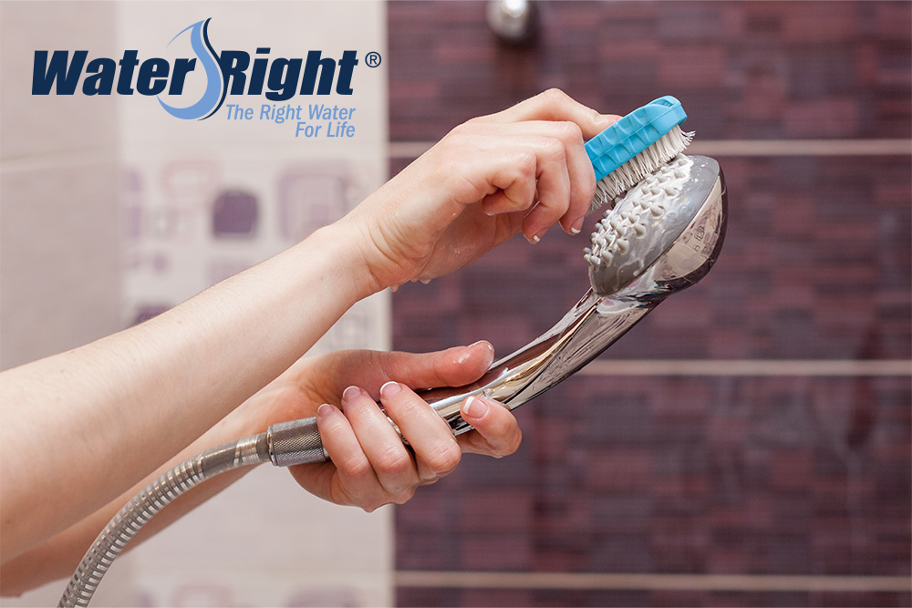 How To Clean A Shower Head: Eliminate Mineral Deposits